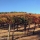 Wine Tasting on the West Side of Paso Robles